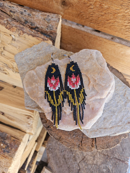 Spring Blooms - Tulips