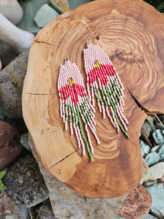 Coneflower - Pink and Red Blooms